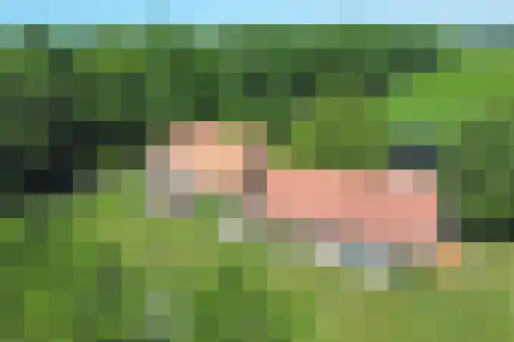 Gageldijk 1 Lochem thumbnail 27