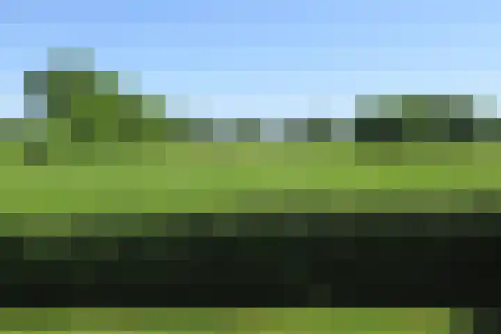 Gageldijk 1 Lochem thumbnail 4
