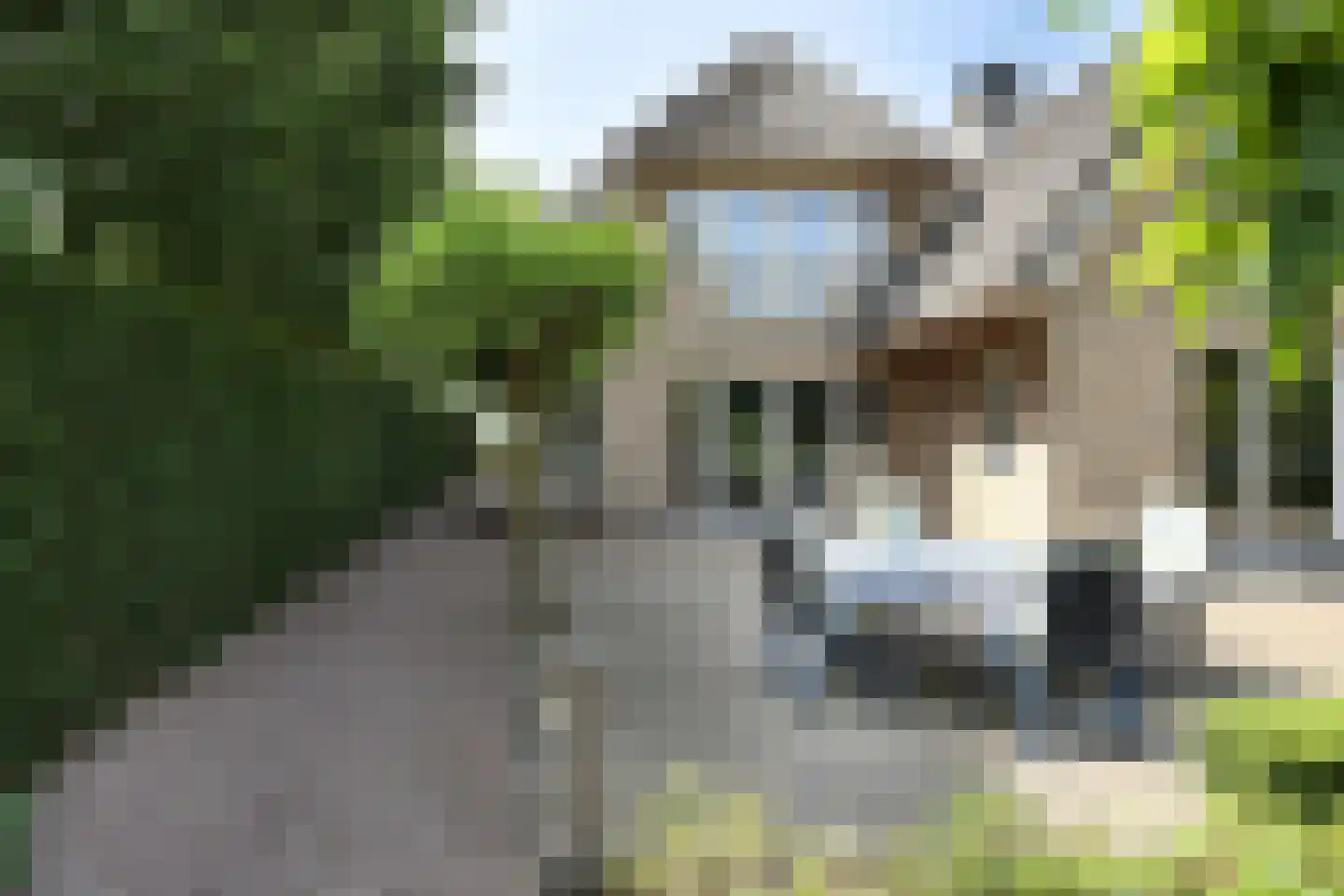 Gageldijk 19 Maarssen thumbnail 10
