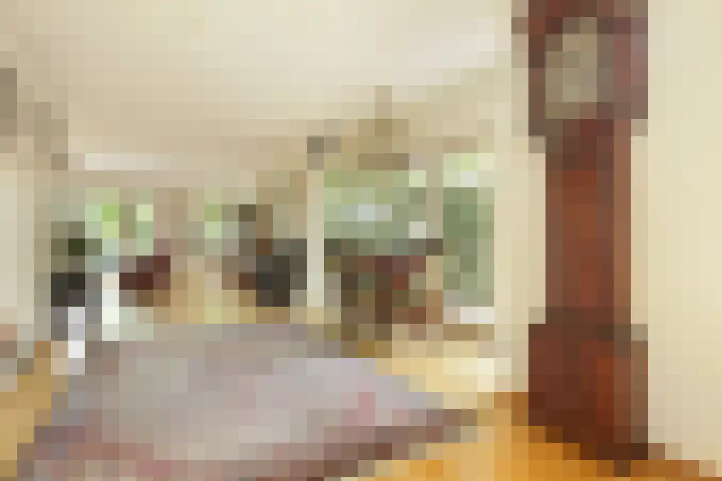 Gageldijk 19 Maarssen thumbnail 17