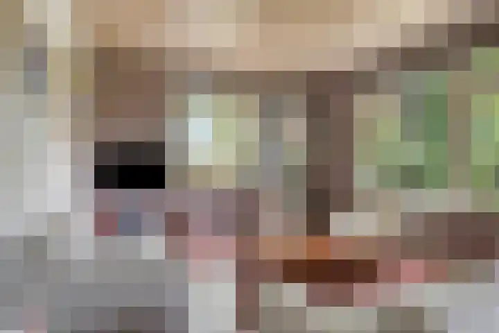 Gageldijk 2 Lochem thumbnail 10