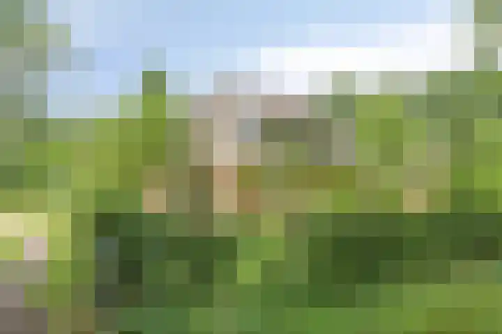 Gageldijk 2 Lochem thumbnail 5