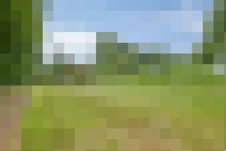 Gageldijk 2 Lochem thumbnail 50