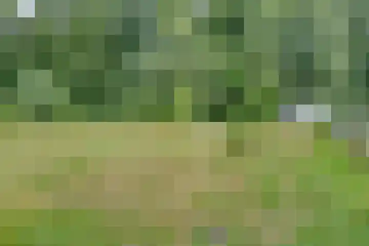 Gageldijk 2 Lochem thumbnail 52