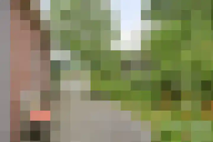 Gageldijk 2 Lochem thumbnail 7