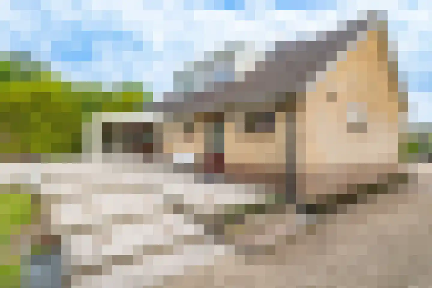 Gageldijk 213 Utrecht thumbnail 55