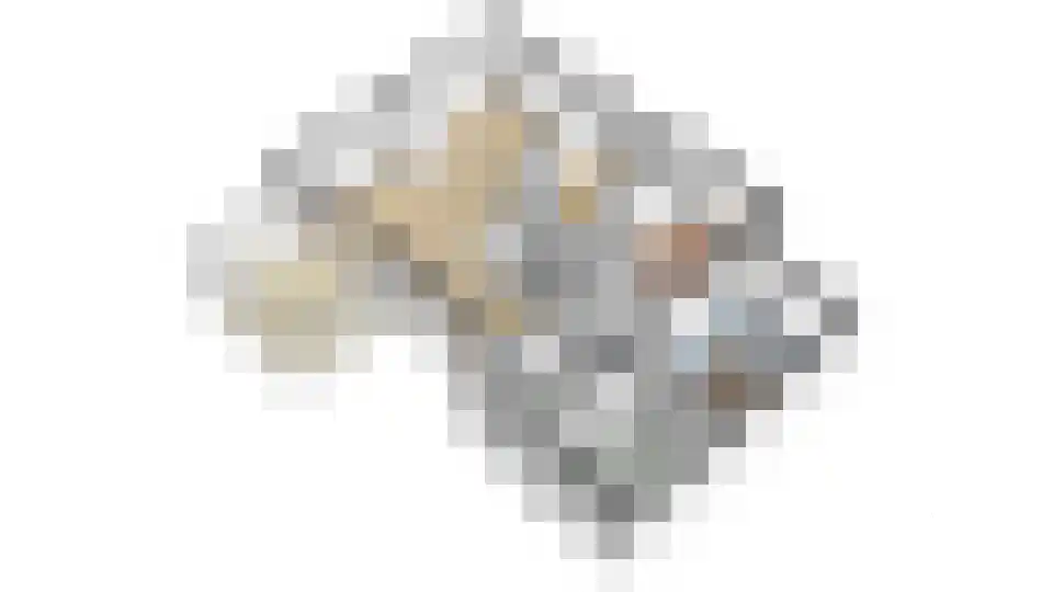 Gageldijk 213 Utrecht thumbnail 64