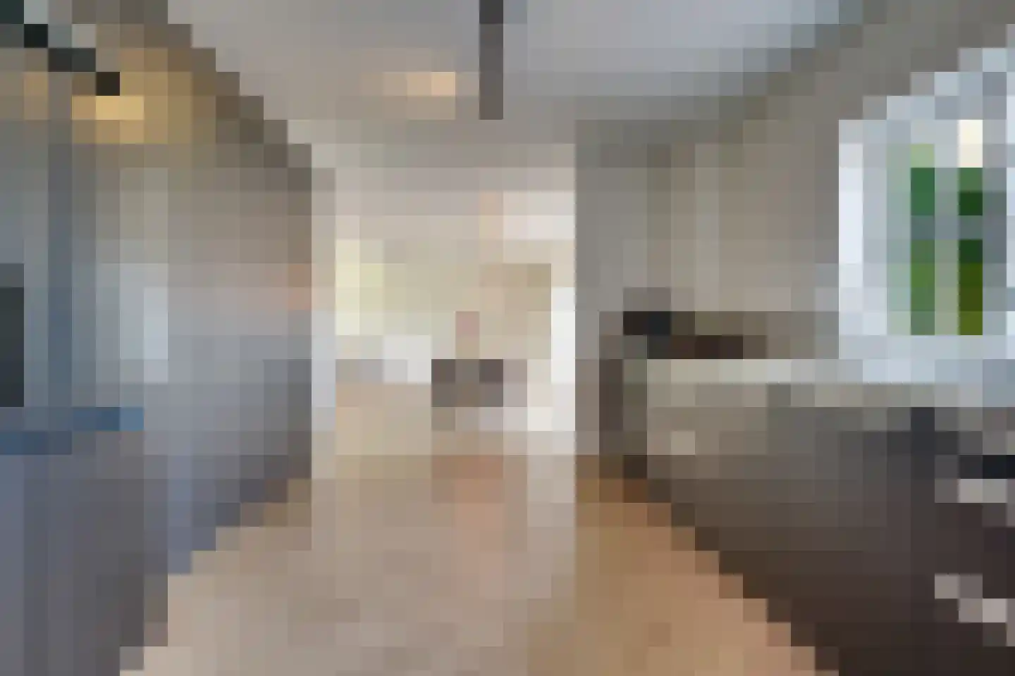 Gageldijk 233 Utrecht thumbnail 16