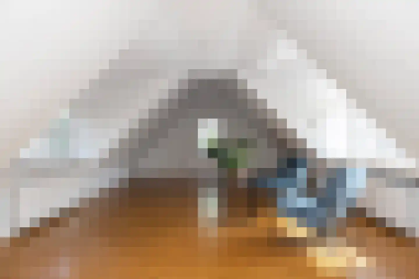 Gageldijk 233 Utrecht thumbnail 44