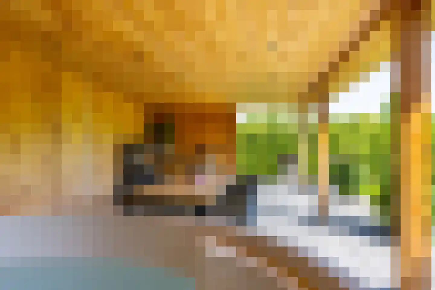 Gageldijk 4 D Utrecht thumbnail 37