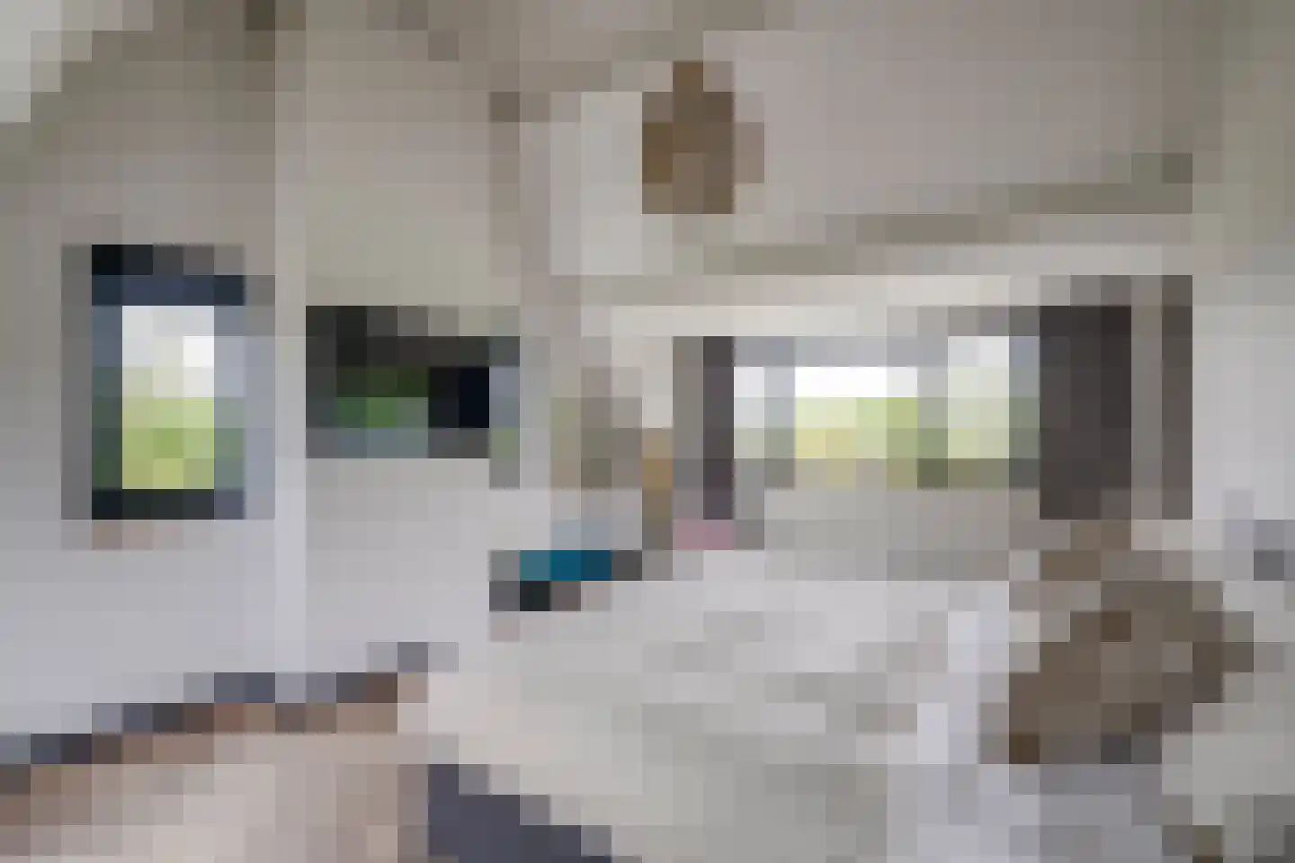 Gageldijk 4 D Utrecht thumbnail 44