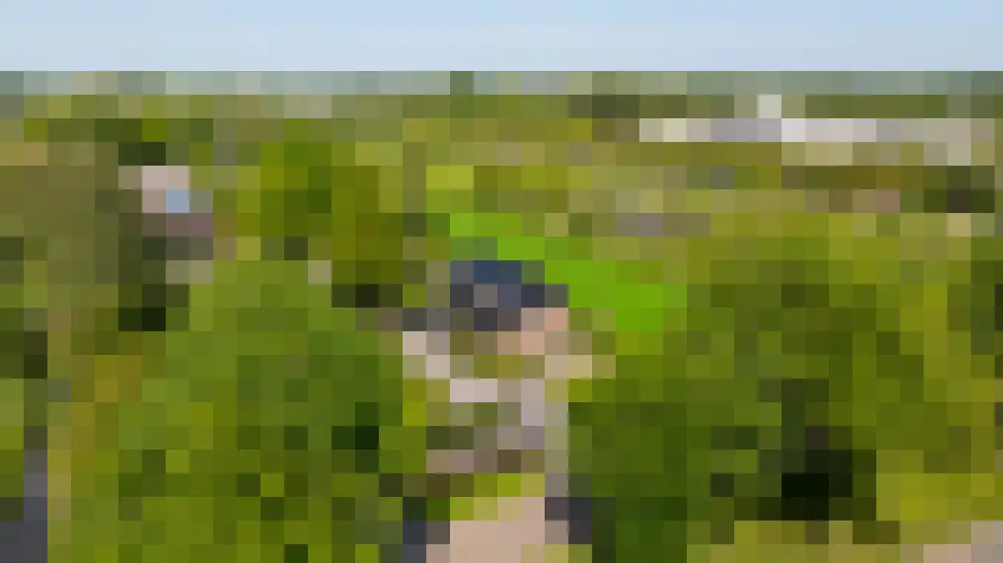 Gageldijk 4 D Utrecht thumbnail 59