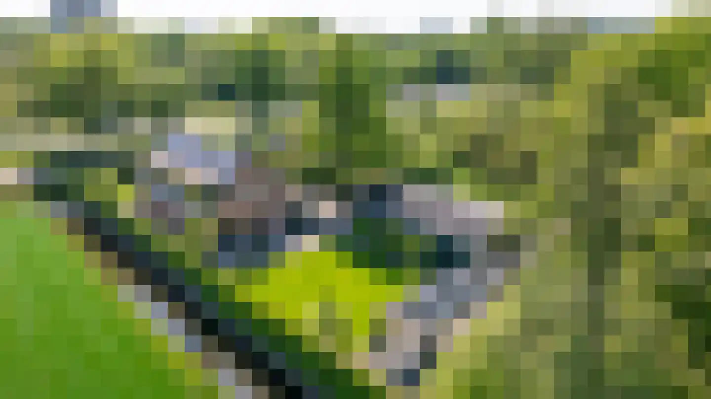 Gageldijk 4 D Utrecht thumbnail 62