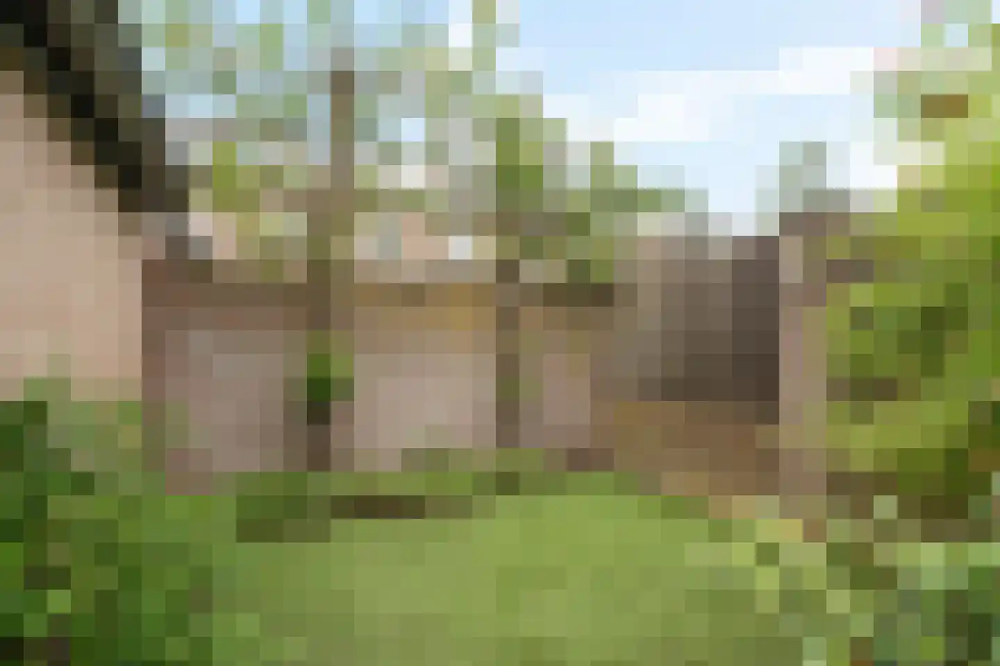 Gageldonk 1 's-Hertogenbosch thumbnail 21
