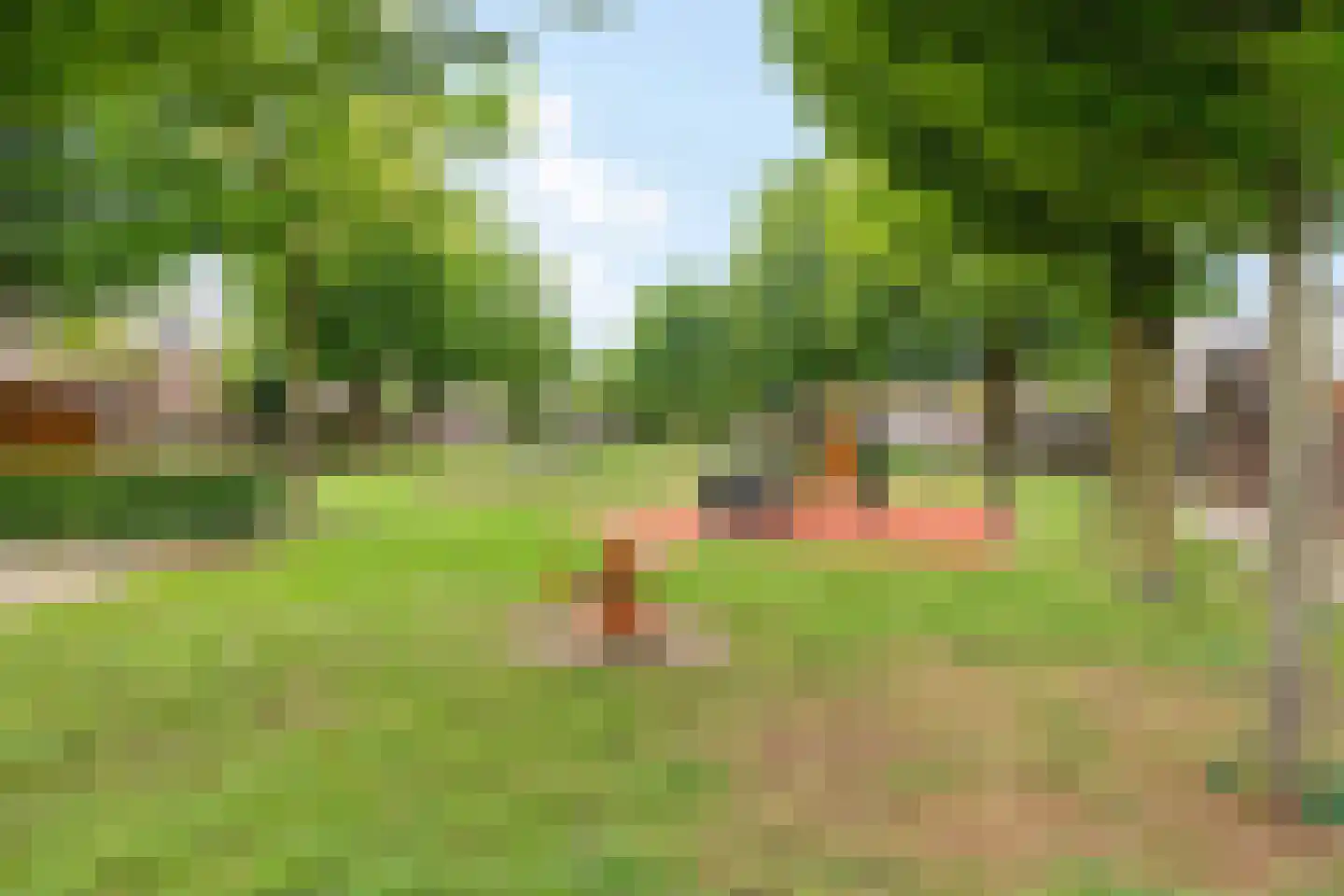 Gageldonk 1 's-Hertogenbosch thumbnail 23