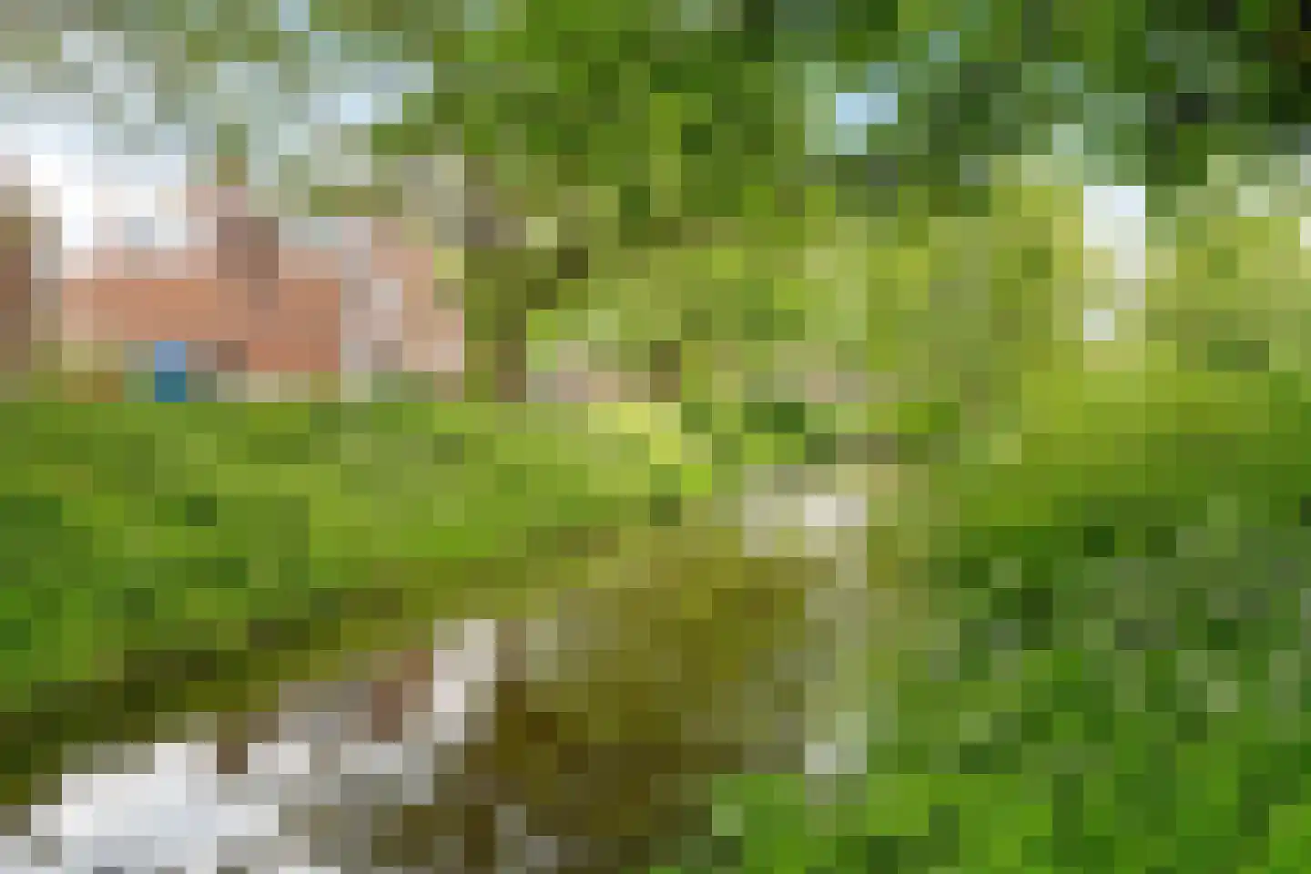 Gageldonk 1 's-Hertogenbosch thumbnail 25