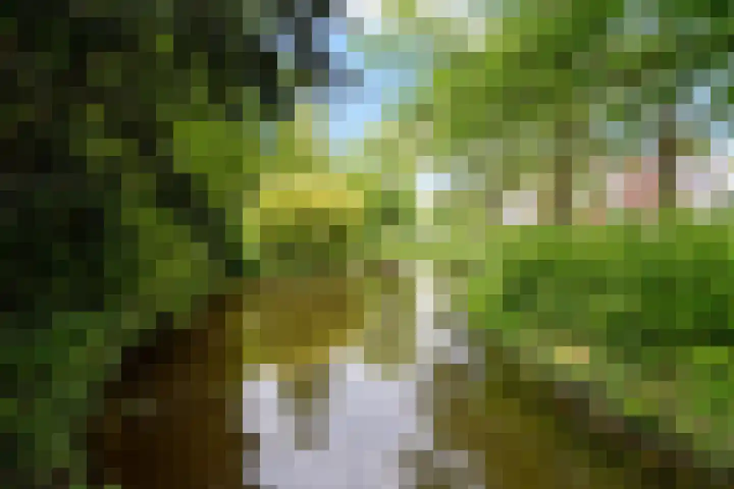 Gageldonk 1 's-Hertogenbosch thumbnail 26