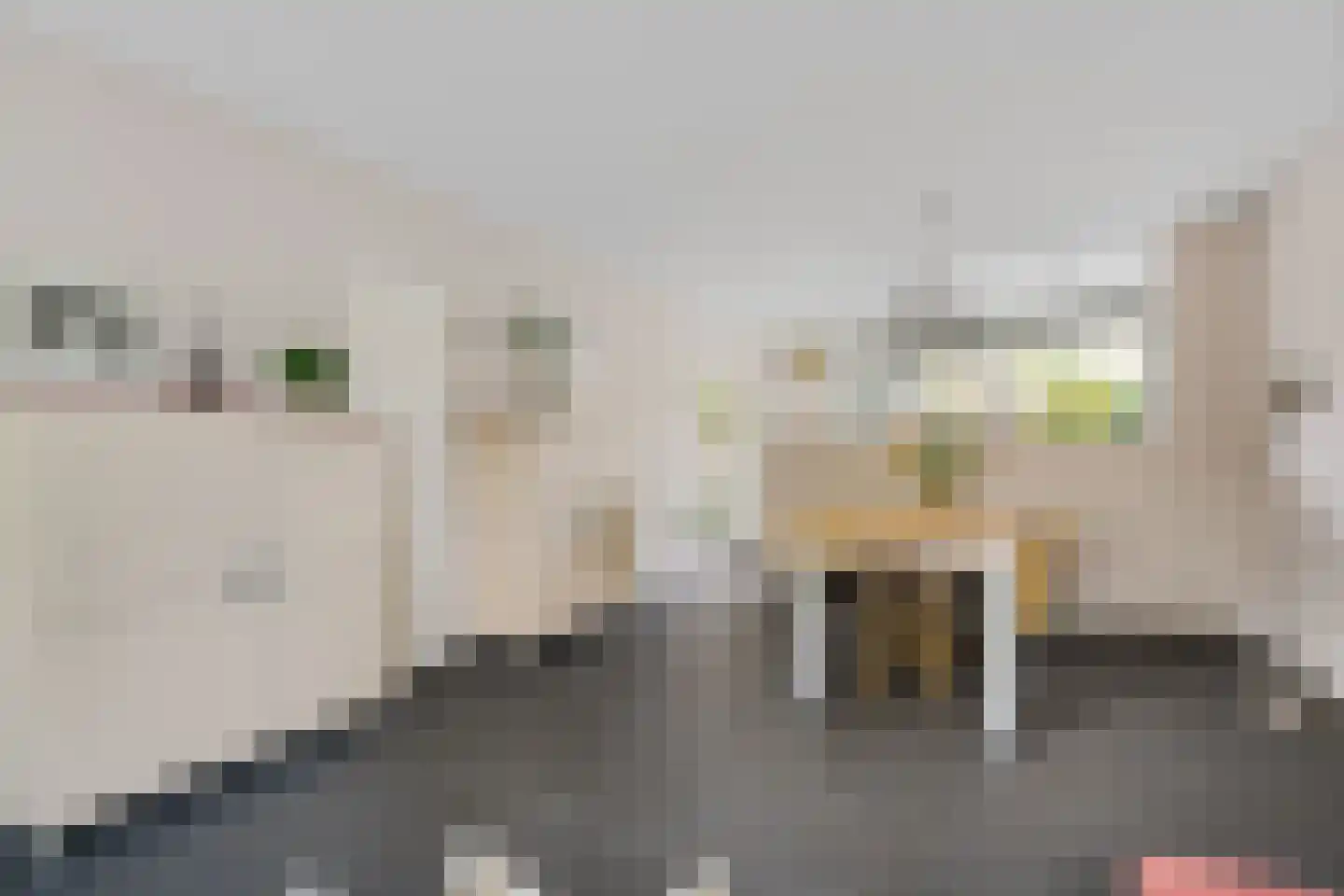 Gageldonk 1 's-Hertogenbosch thumbnail 5