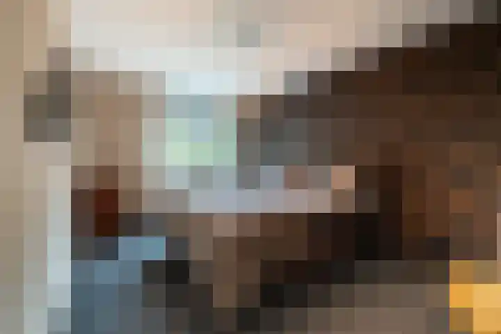 Gageldonk 21 Bavel thumbnail 11