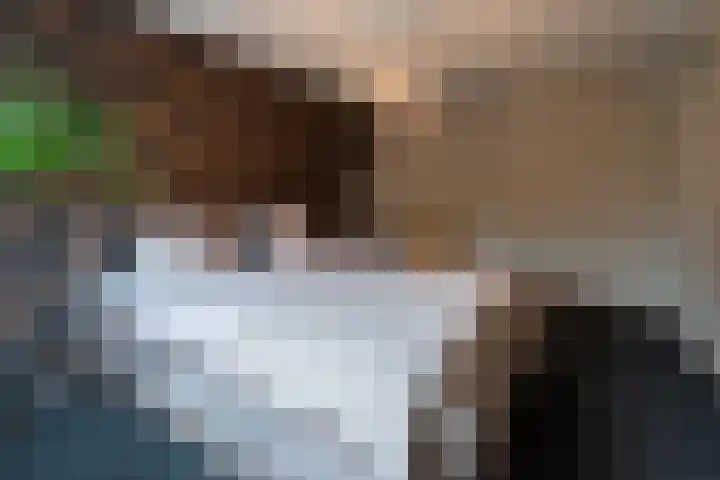 Gageldonk 21 Bavel thumbnail 12