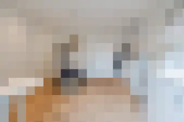 Gageldonk 21 Bavel thumbnail 14