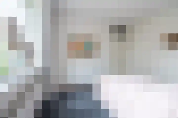 Gageldonk 21 Bavel thumbnail 16