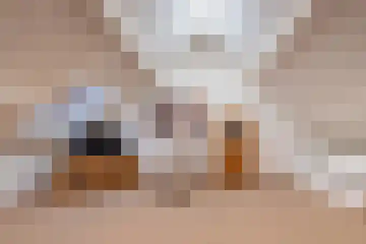 Gageldonk 21 Bavel thumbnail 19