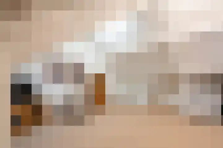Gageldonk 21 Bavel thumbnail 20