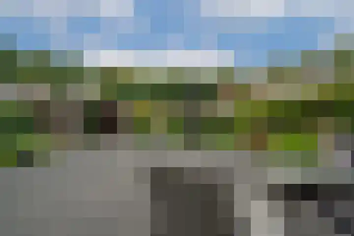 Gageldonk 21 Bavel thumbnail 22