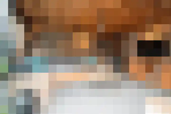 Gageldonk 21 Bavel thumbnail 24