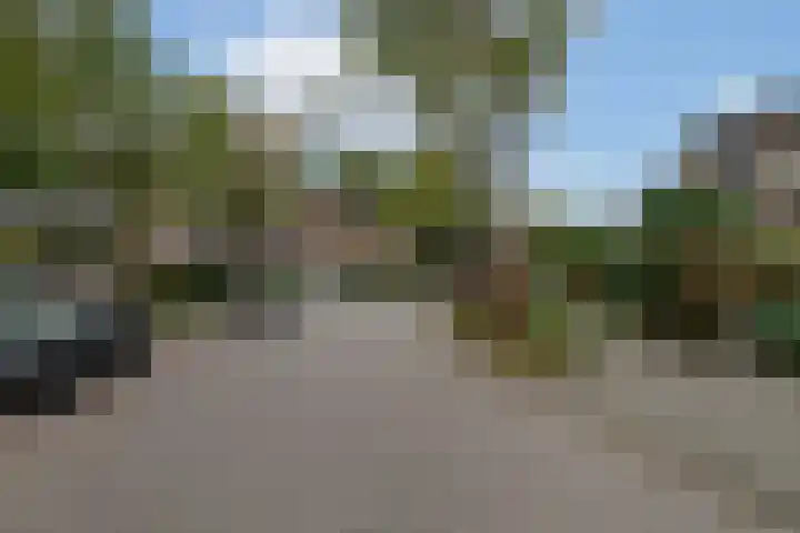 Gageldonk 21 Bavel thumbnail 27