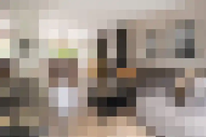 Gageldonk 21 Bavel thumbnail 4