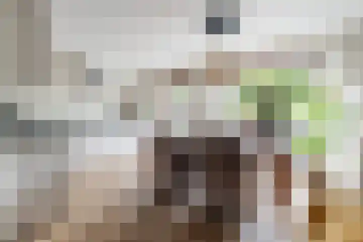 Gageldonk 21 Bavel thumbnail 6