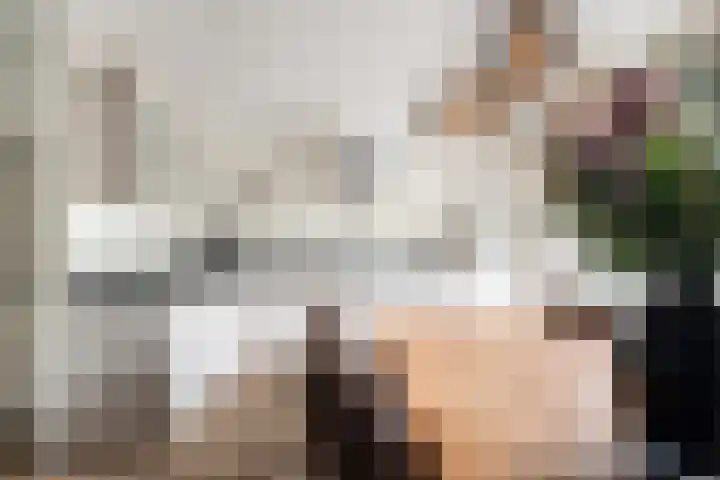 Gageldonk 21 Bavel thumbnail 7