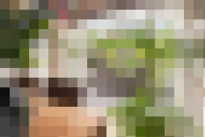 Gageldonk 21 Bavel thumbnail 9