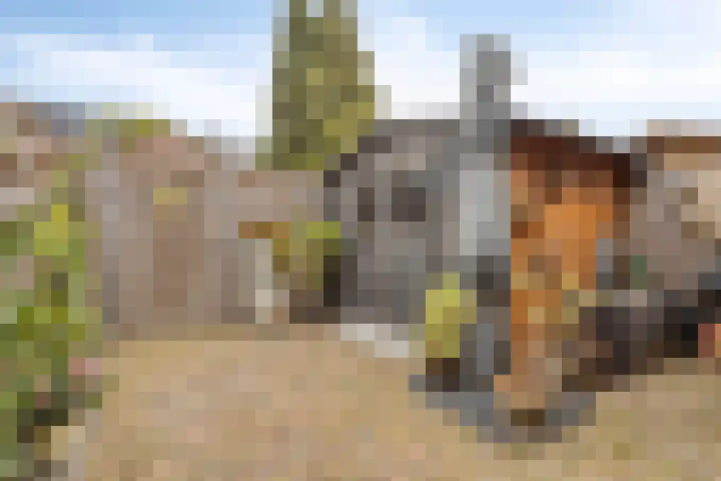 Gageldonk 22 's-Hertogenbosch thumbnail 27
