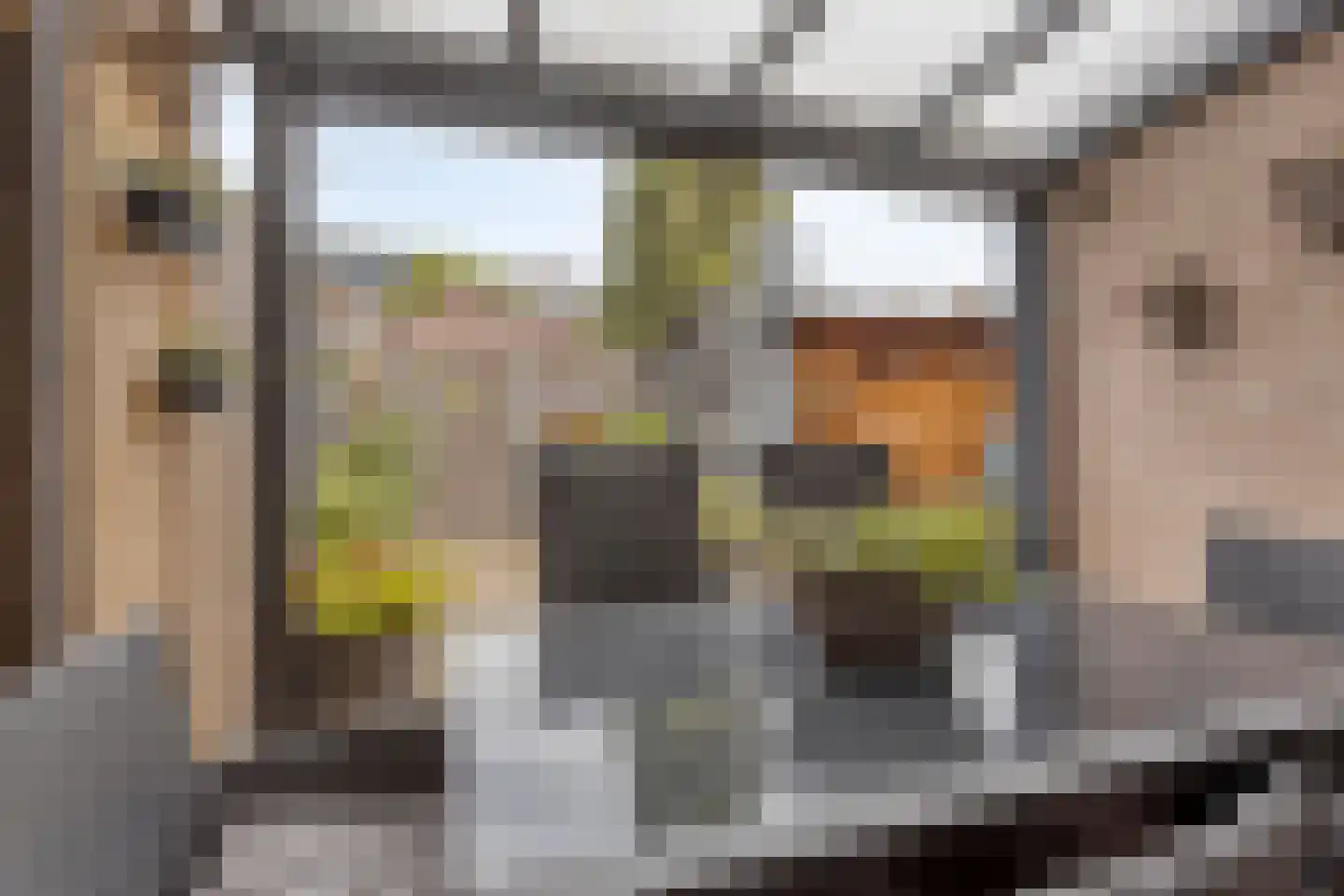Gageldonk 22 's-Hertogenbosch thumbnail 28