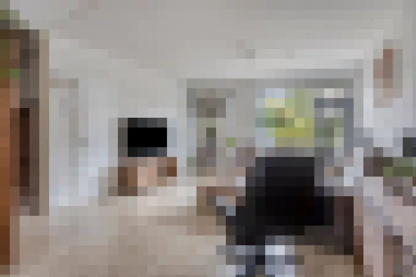 Gageldonk 22 's-Hertogenbosch thumbnail 6