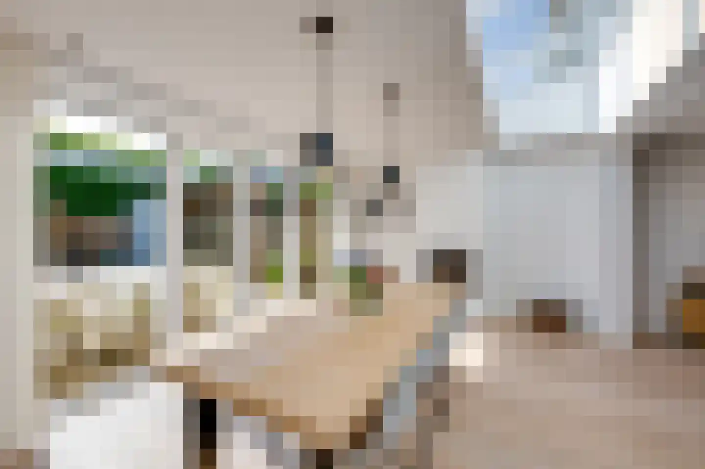 Gageldonk 24 Udenhout thumbnail 15