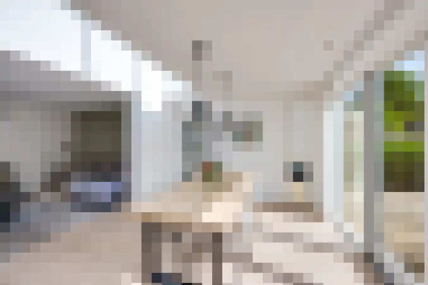 Gageldonk 24 Udenhout thumbnail 18