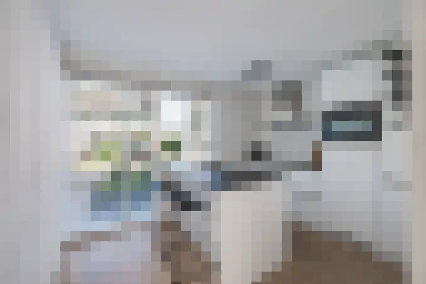 Gageldonk 24 Udenhout thumbnail 22