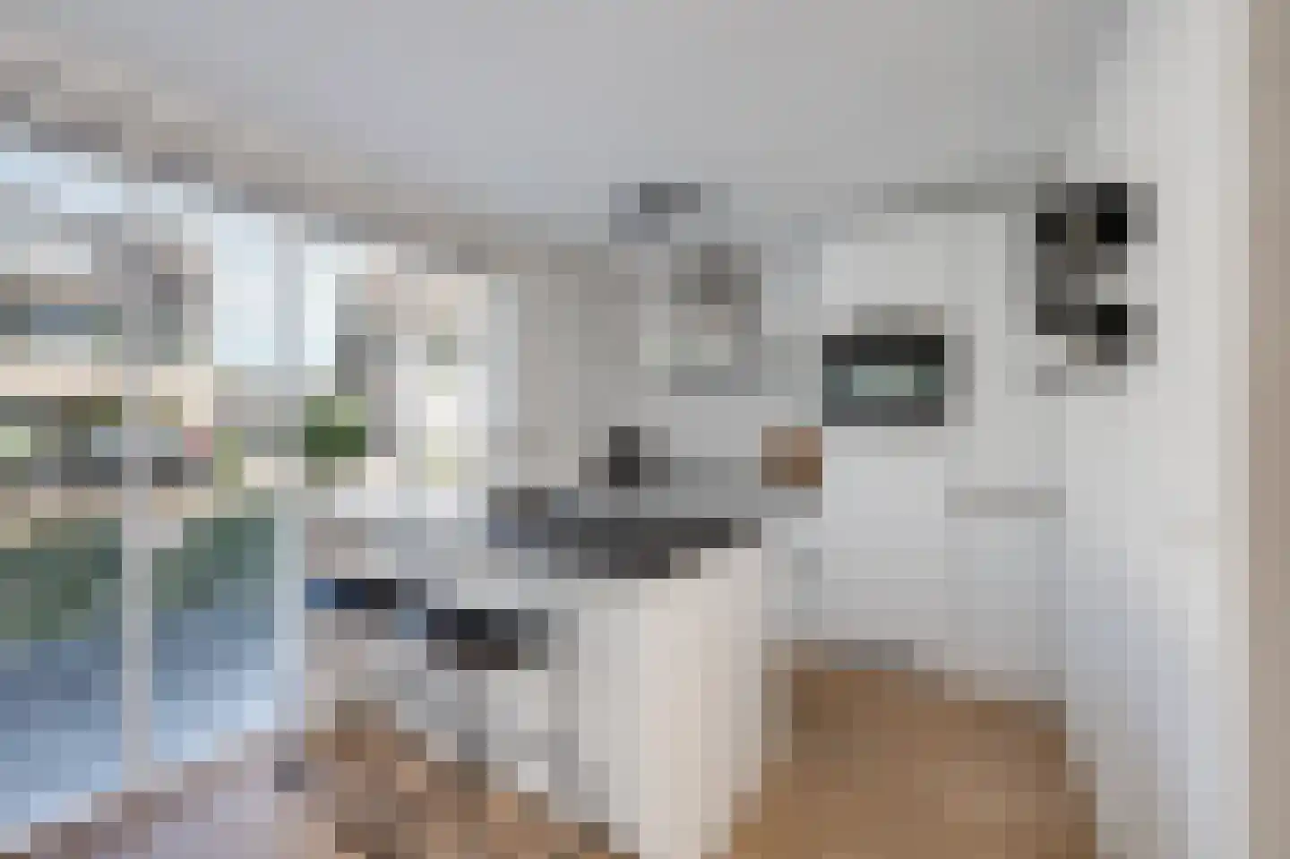Gageldonk 24 Udenhout thumbnail 23