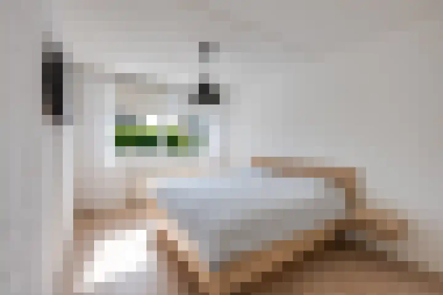 Gageldonk 24 Udenhout thumbnail 27