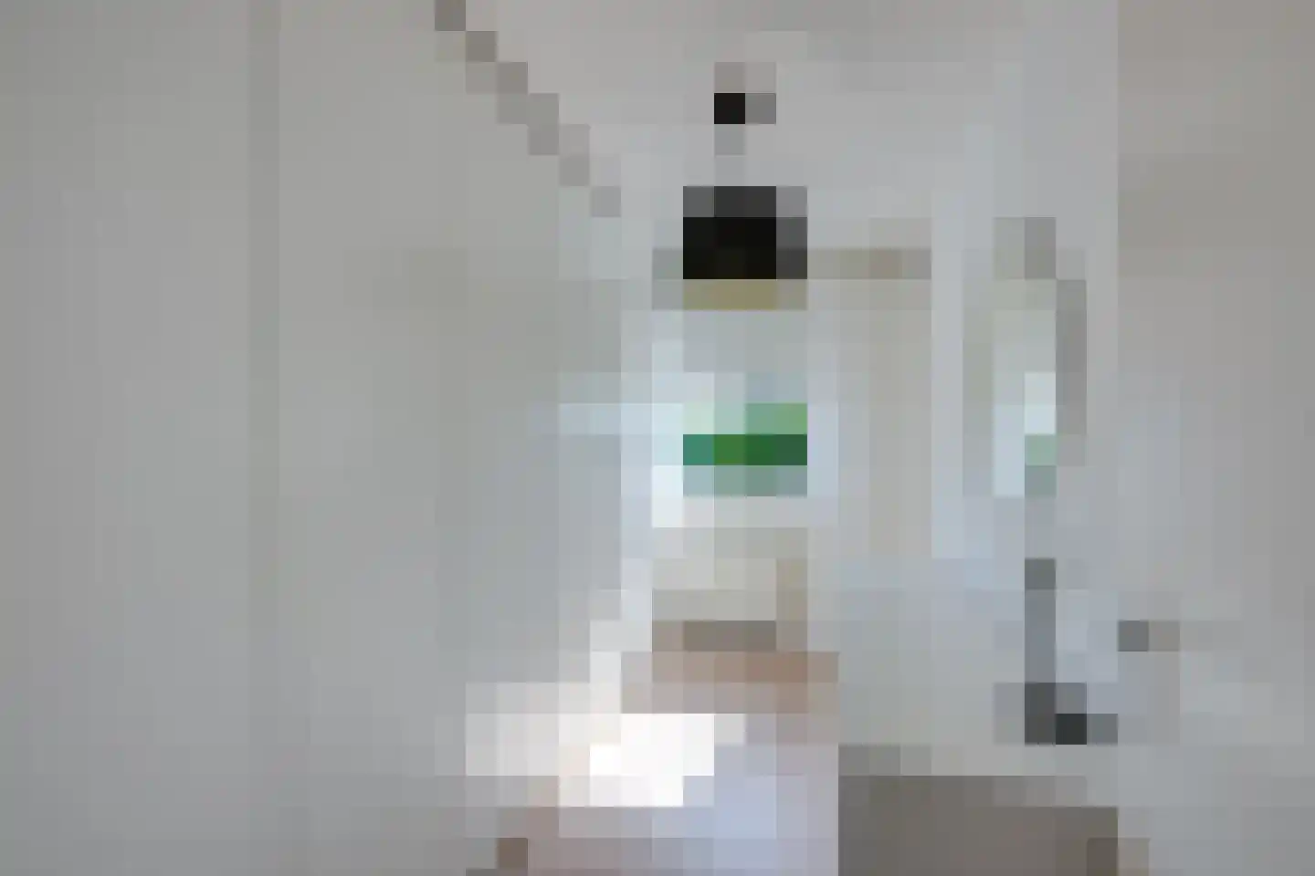 Gageldonk 24 Udenhout thumbnail 29