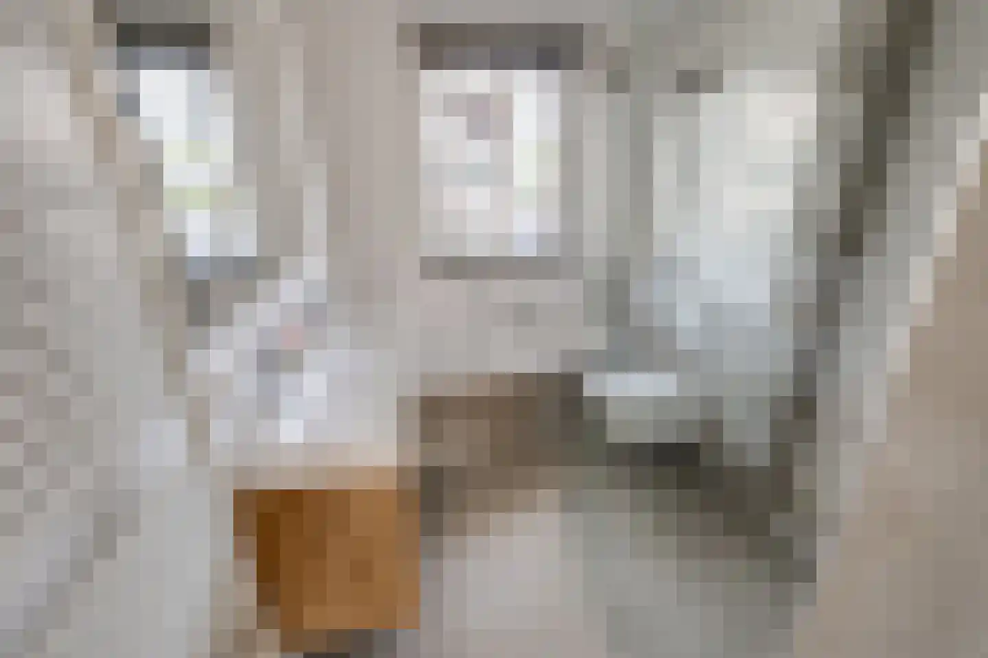 Gageldonk 24 Udenhout thumbnail 4