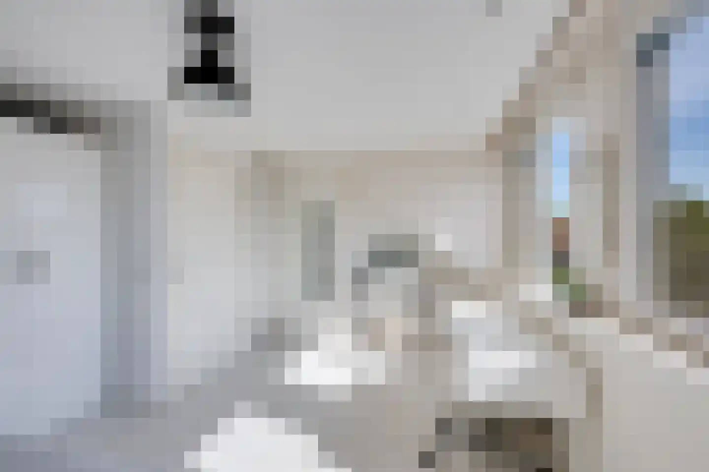 Gageldonk 24 Udenhout thumbnail 44