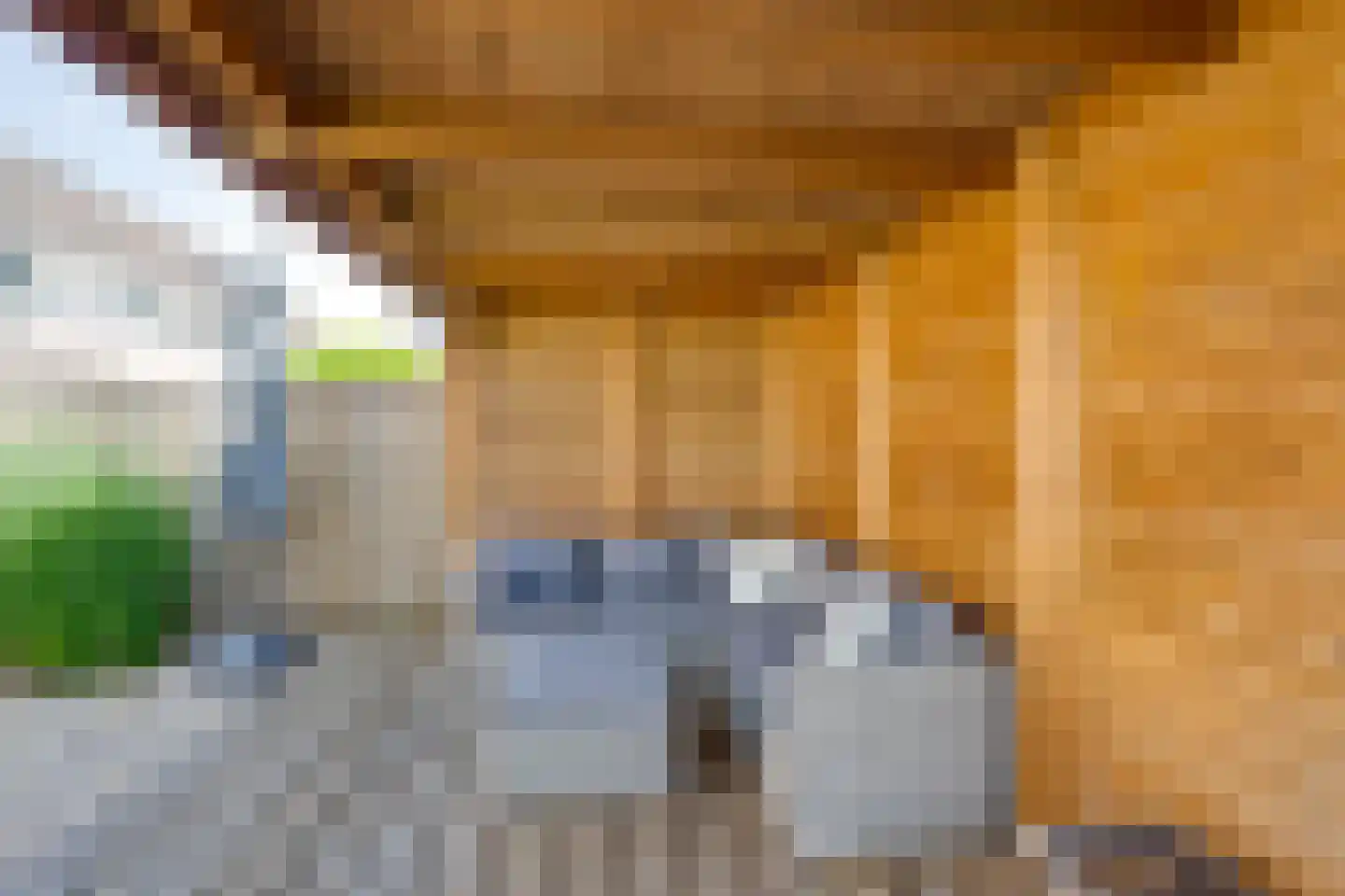 Gageldonk 24 Udenhout thumbnail 52