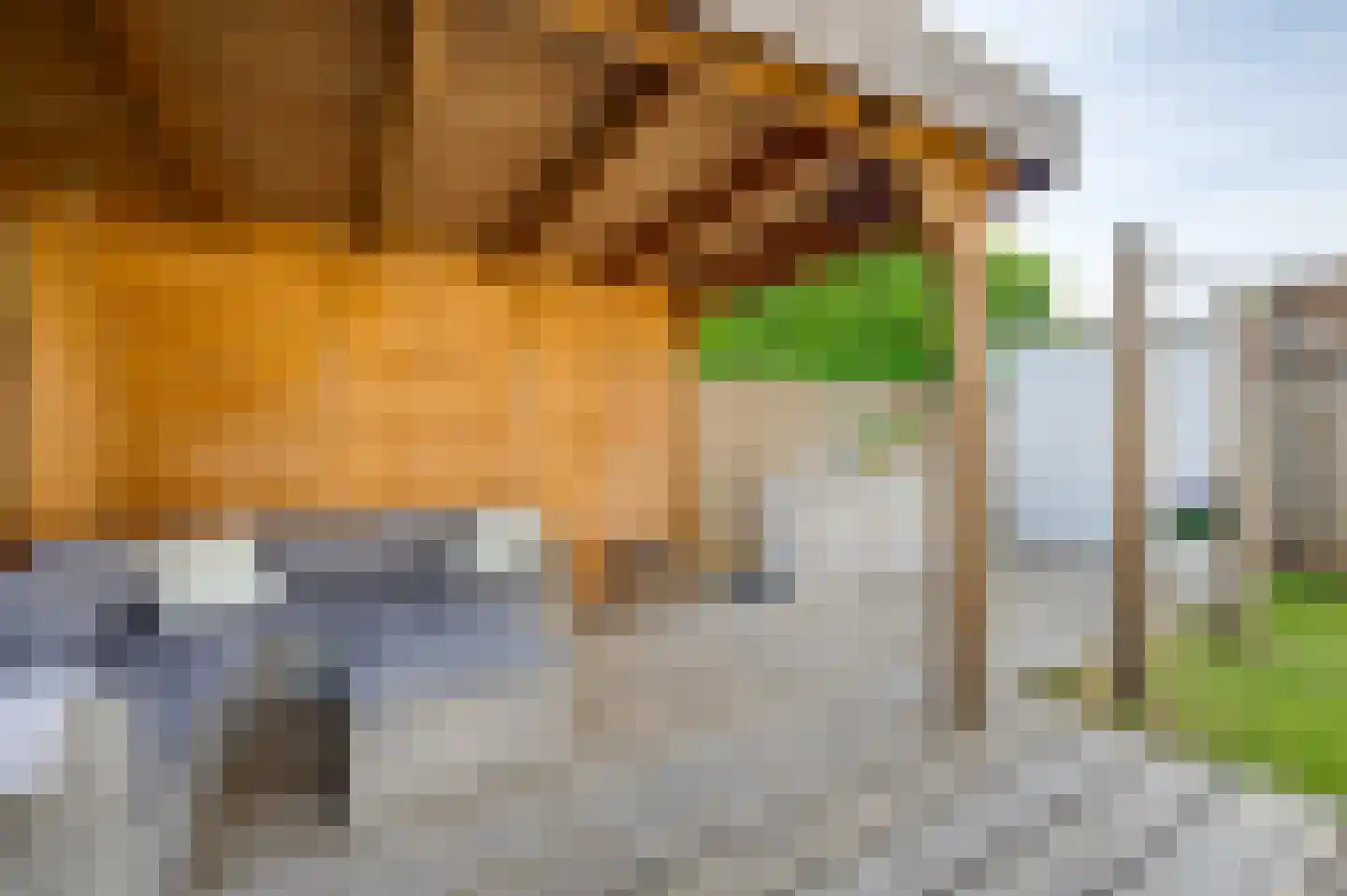 Gageldonk 24 Udenhout thumbnail 55