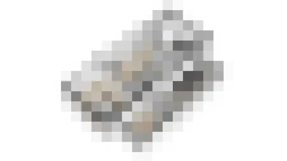 Gageldonk 24 Udenhout thumbnail 60