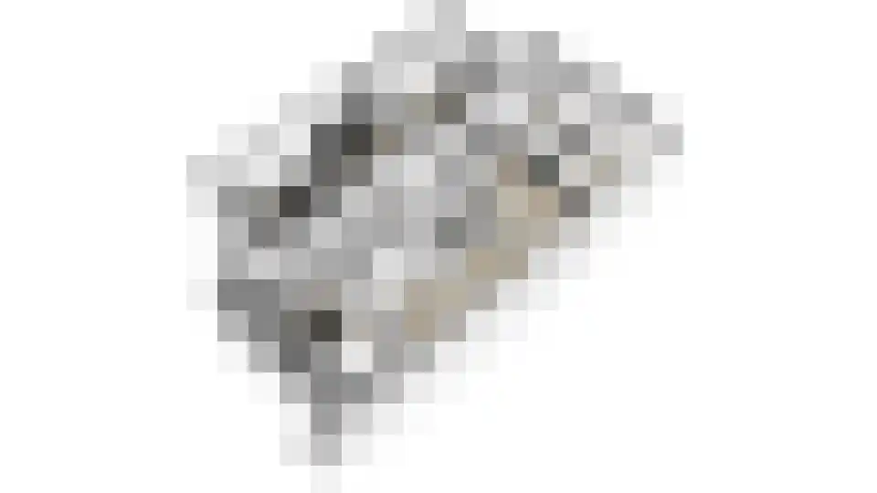 Gageldonk 24 Udenhout thumbnail 61